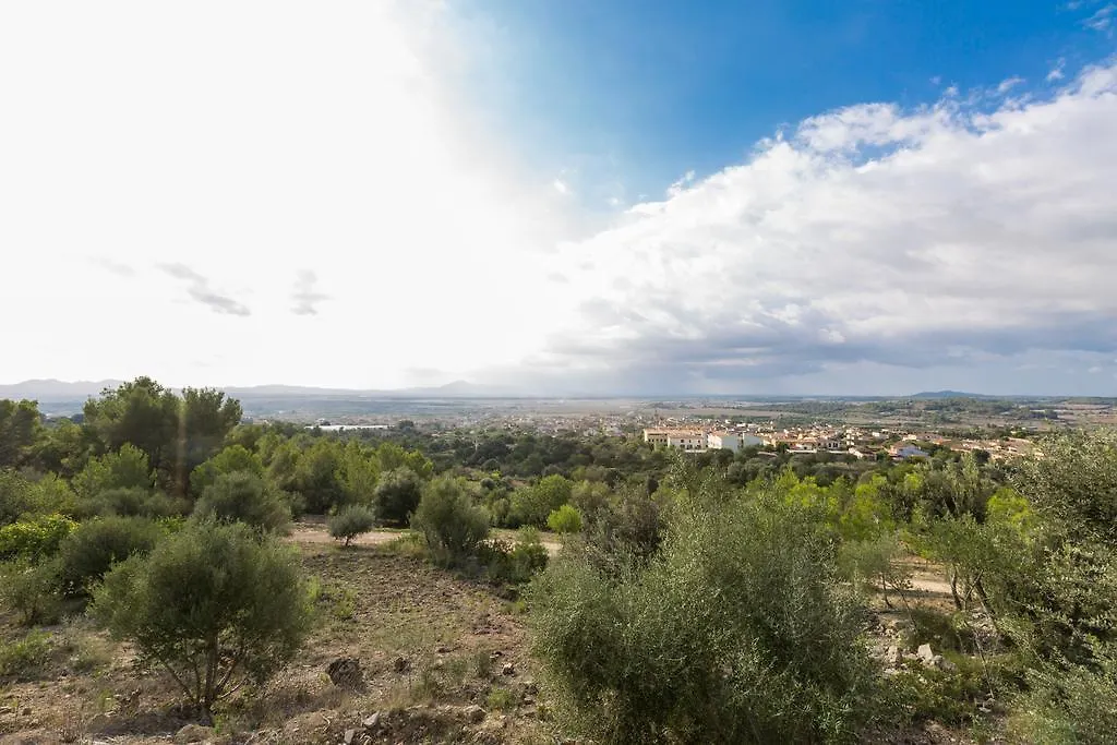 Son Morey Vilafranca De Bonany